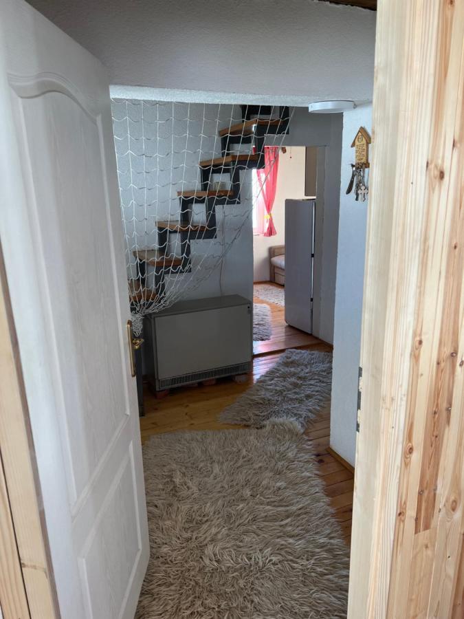 Villa Kuca Miladinovic à Kopaonik Extérieur photo