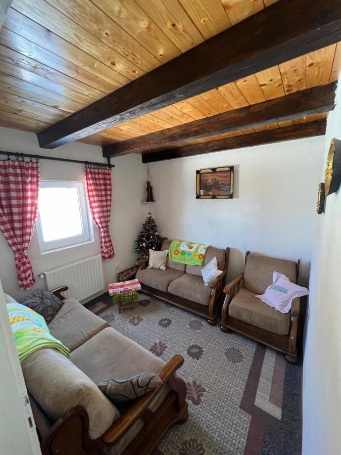 Villa Kuca Miladinovic à Kopaonik Extérieur photo